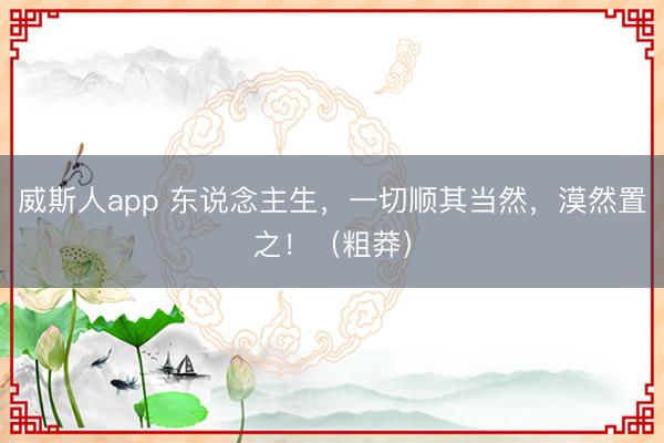 威斯人app 东说念主生，一切顺其当然，漠然置之！（粗莽）