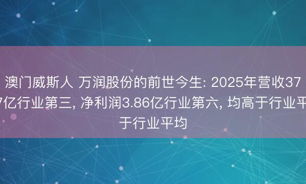 澳门威斯人 万润股份的前世今生: 2025年营收37.17亿行业第三, 净利润3.86亿行业第六, 均高于行业平均
