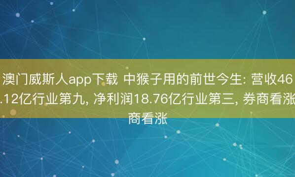 澳门威斯人app下载 中猴子用的前世今生: 营收46.12亿行业第九, 净利润18.76亿行业第三, 券商看涨