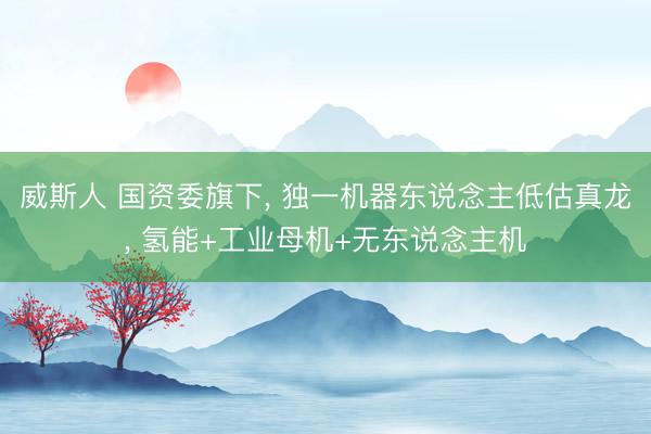 威斯人 国资委旗下, 独一机器东说念主低估真龙, 氢能+工业母机+无东说念主机