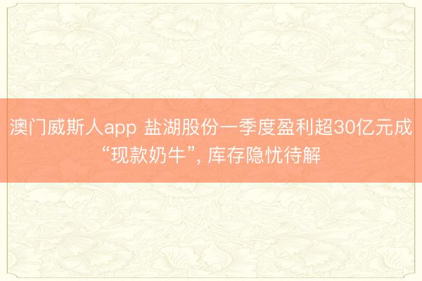 澳门威斯人app 盐湖股份一季度盈利超30亿元成“现款奶牛”, 库存隐忧待解